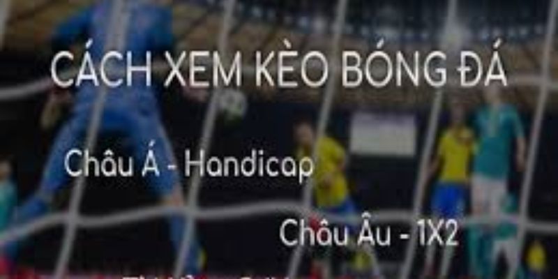Hiểu rõ cách xem kèo bóng đá