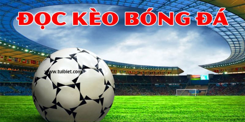 Kỹ thuật cách xem kèo bóng đá