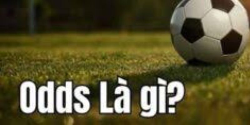 Odds trong bóng đá là gì